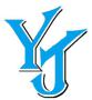 Linyi Yanjun Carbon Material Co., Ltd.